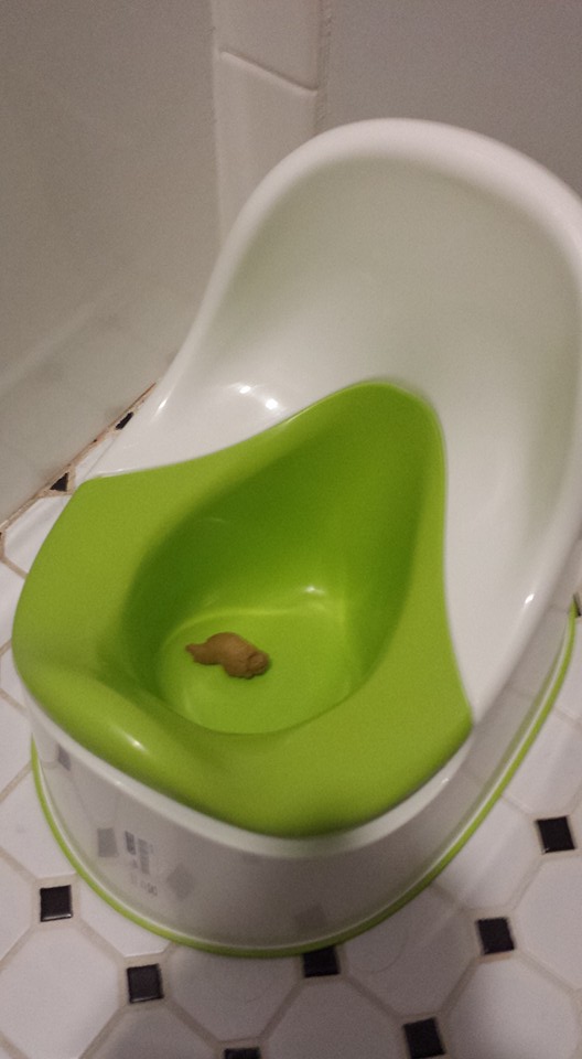 12341309_10154373817144307_4237588355270571923_n