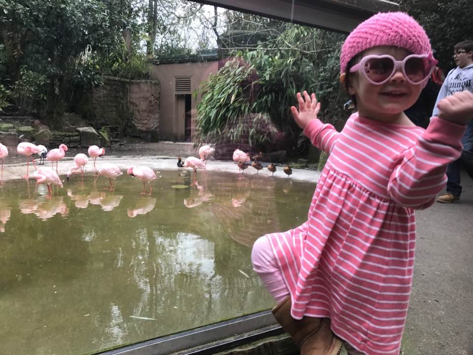 17353671_10155902991139307_974093567228378489_n