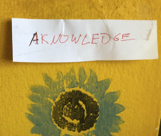 Screen Shot 2017-07-14 at 11.29.26 AM