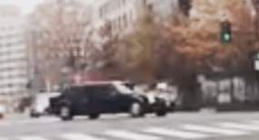 screen shot 2019-01-24 at 10.06.38 pm